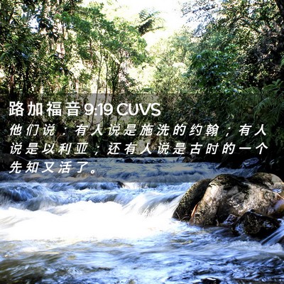 Picture 02 - 路 加 福 音 9:19 CUVS - 他 们 说 ： 有 人 说 是 施 洗 的 约 - Bible Verse Picture