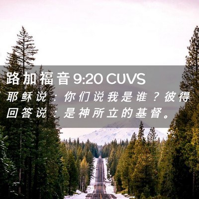 Picture 02 - 路 加 福 音 9:20 CUVS - 耶 稣 说 ： 你 们 说 我 是 谁 ？ 彼 - Bible Verse Picture
