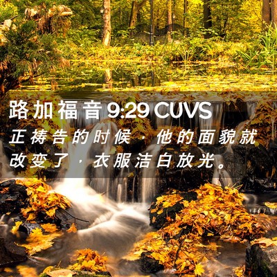 Picture 02 - 路 加 福 音 9:29 CUVS - 正 祷 告 的 时 候 ， 他 的 面 貌 就 - Bible Verse Picture