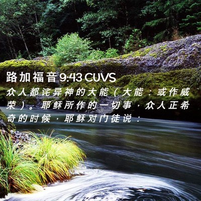 Picture 02 - 路 加 福 音 9:43 CUVS - 众 人 都 诧 异 神 的 大 能 （ 大 能 - Bible Verse Picture