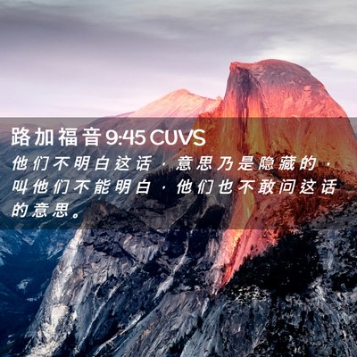 Picture 02 - 路 加 福 音 9:45 CUVS - 他 们 不 明 白 这 话 ， 意 思 乃 是 - Bible Verse Picture