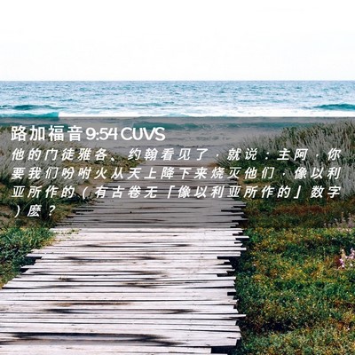 Picture 02 - 路 加 福 音 9:54 CUVS - 他 的 门 徒 雅 各 、 约 翰 看 见 了 - Bible Verse Picture