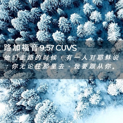 Picture 02 - 路 加 福 音 9:57 CUVS - 他 们 走 路 的 时 候 ， 有 一 人 对 - Bible Verse Picture