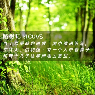Picture 02 - 路 得 记 1:1 CUVS - 当 士 师 秉 政 的 时 候 ， 国 中 遭 - Bible Verse Picture