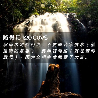 Picture 02 - 路 得 记 1:20 CUVS - 拿 俄 米 对 他 们 说 ： 不 要 叫 我 - Bible Verse Picture