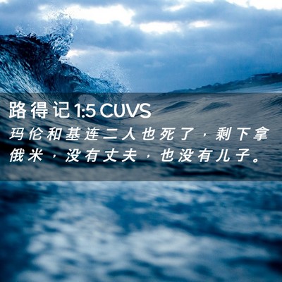 Picture 02 - 路 得 记 1:5 CUVS - 玛 伦 和 基 连 二 人 也 死 了 ， 剩 - Bible Verse Picture
