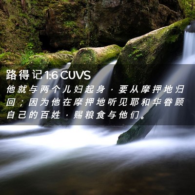Picture 02 - 路 得 记 1:6 CUVS - 他 就 与 两 个 儿 妇 起 身 ， 要 从 - Bible Verse Picture