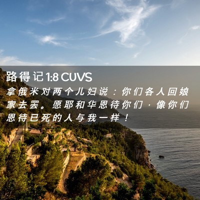 Picture 02 - 路 得 记 1:8 CUVS - 拿 俄 米 对 两 个 儿 妇 说 ： 你 们 - Bible Verse Picture