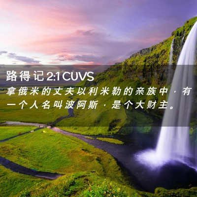 Picture 02 - 路 得 记 2:1 CUVS - 拿 俄 米 的 丈 夫 以 利 米 勒 的 亲 - Bible Verse Picture