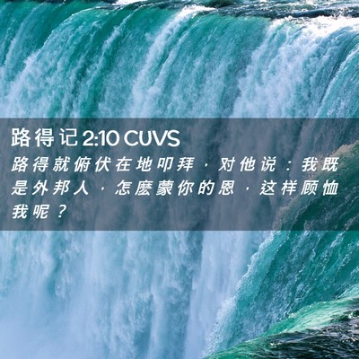 Picture 02 - 路 得 记 2:10 CUVS - 路 得 就 俯 伏 在 地 叩 拜 ， 对 他 - Bible Verse Picture