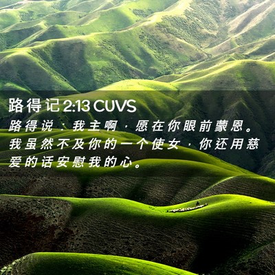Picture 02 - 路 得 记 2:13 CUVS - 路 得 说 ： 我 主 啊 ， 愿 在 你 眼 - Bible Verse Picture