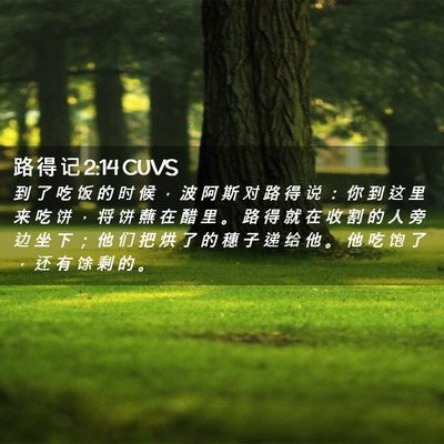 Picture 02 - 路 得 记 2:14 CUVS - 到 了 吃 饭 的 时 候 ， 波 阿 斯 对 - Bible Verse Picture
