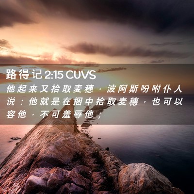 Picture 02 - 路 得 记 2:15 CUVS - 他 起 来 又 拾 取 麦 穗 ， 波 阿 斯 - Bible Verse Picture