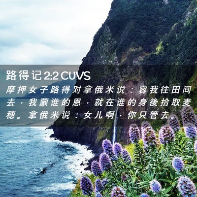 Picture 02 - 路 得 记 2:2 CUVS - 摩 押 女 子 路 得 对 拿 俄 米 说 ： - Bible Verse Picture