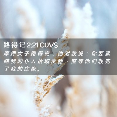 Picture 02 - 路 得 记 2:21 CUVS - 摩 押 女 子 路 得 说 ： 他 对 我 说 - Bible Verse Picture