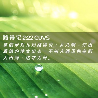Picture 02 - 路 得 记 2:22 CUVS - 拿 俄 米 对 儿 妇 路 得 说 ： 女 儿 - Bible Verse Picture