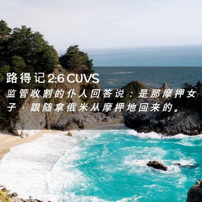 Picture 02 - 路 得 记 2:6 CUVS - 监 管 收 割 的 仆 人 回 答 说 ： 是 - Bible Verse Picture