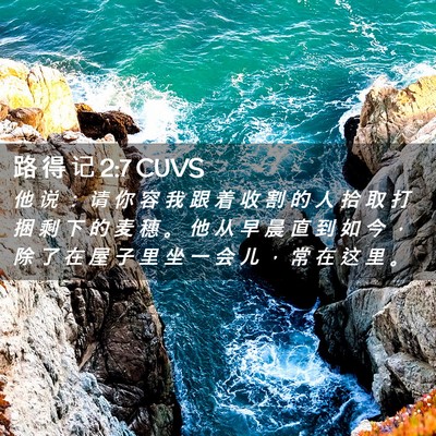 Picture 02 - 路 得 记 2:7 CUVS - 他 说 ： 请 你 容 我 跟 着 收 割 的 - Bible Verse Picture