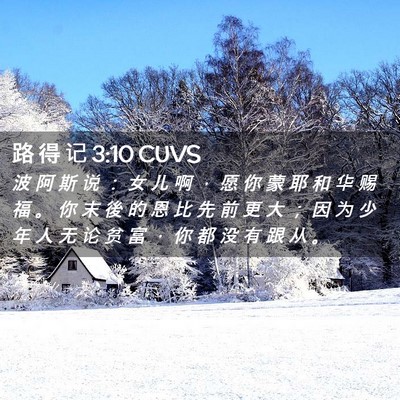 Picture 02 - 路 得 记 3:10 CUVS - 波 阿 斯 说 ： 女 儿 啊 ， 愿 你 蒙 - Bible Verse Picture