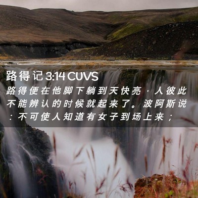Picture 02 - 路 得 记 3:14 CUVS - 路 得 便 在 他 脚 下 躺 到 天 快 亮 - Bible Verse Picture