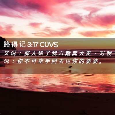 Picture 02 - 路 得 记 3:17 CUVS - 又 说 ： 那 人 给 了 我 六 簸 箕 大 - Bible Verse Picture