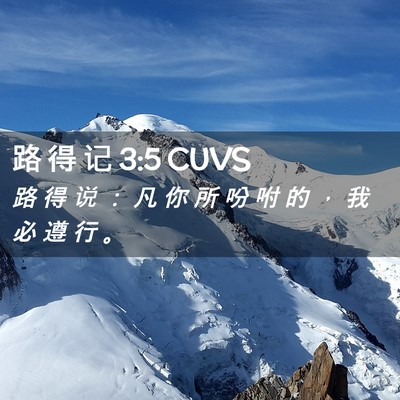 Picture 02 - 路 得 记 3:5 CUVS - 路 得 说 ： 凡 你 所 吩 咐 的 ， 我 - Bible Verse Picture