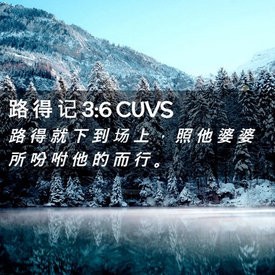 Picture 02 - 路 得 记 3:6 CUVS - 路 得 就 下 到 场 上 ， 照 他 婆 婆 - Bible Verse Picture