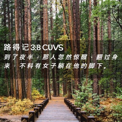 Picture 02 - 路 得 记 3:8 CUVS - 到 了 夜 半 ， 那 人 忽 然 惊 醒 ， - Bible Verse Picture