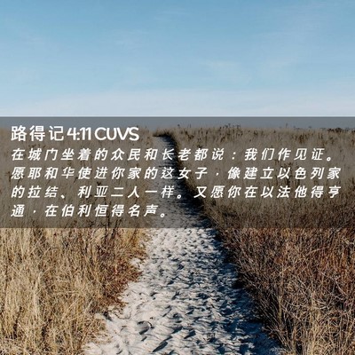 Picture 02 - 路 得 记 4:11 CUVS - 在 城 门 坐 着 的 众 民 和 长 老 都 - Bible Verse Picture