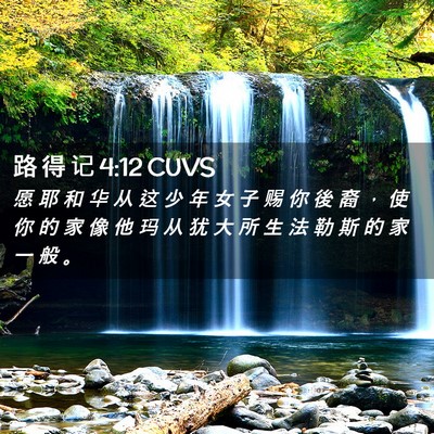 Picture 02 - 路 得 记 4:12 CUVS - 愿 耶 和 华 从 这 少 年 女 子 赐 你 - Bible Verse Picture