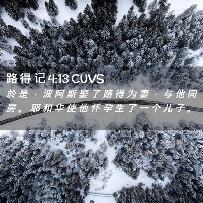 Picture 02 - 路 得 记 4:13 CUVS - 於 是 ， 波 阿 斯 娶 了 路 得 为 妻 - Bible Verse Picture