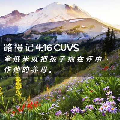 Picture 02 - 路 得 记 4:16 CUVS - 拿 俄 米 就 把 孩 子 抱 在 怀 中 ， - Bible Verse Picture
