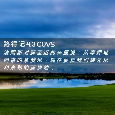 Picture 02 - 路 得 记 4:3 CUVS - 波 阿 斯 对 那 至 近 的 亲 属 说 ： - Bible Verse Picture