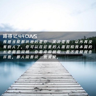 Picture 02 - 路 得 记 4:4 CUVS - 我 想 当 赎 那 块 地 的 是 你 ， 其 - Bible Verse Picture