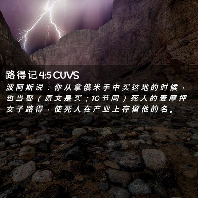 Picture 02 - 路 得 记 4:5 CUVS - 波 阿 斯 说 ： 你 从 拿 俄 米 手 中 - Bible Verse Picture