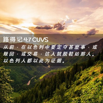 Picture 02 - 路 得 记 4:7 CUVS - 从 前 ， 在 以 色 列 中 要 定 夺 甚 - Bible Verse Picture