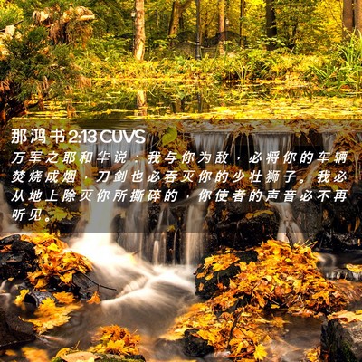 Picture 02 - 那 鸿 书 2:13 CUVS - 万 军 之 耶 和 华 说 ： 我 与 你 为 - Bible Verse Picture