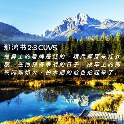 Picture 02 - 那 鸿 书 2:3 CUVS - 他 勇 士 的 盾 牌 是 红 的 ， 精 兵 - Bible Verse Picture