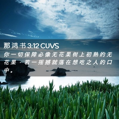 Picture 02 - 那 鸿 书 3:12 CUVS - 你 一 切 保 障 必 像 无 花 果 树 上 - Bible Verse Picture