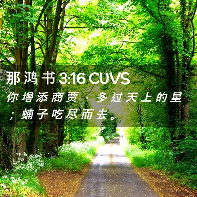 Picture 02 - 那 鸿 书 3:16 CUVS - 你 增 添 商 贾 ， 多 过 天 上 的 星 - Bible Verse Picture