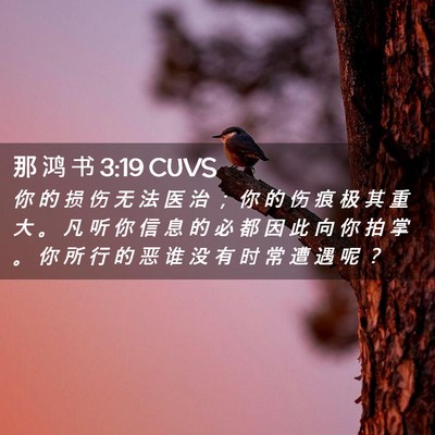 Picture 02 - 那 鸿 书 3:19 CUVS - 你 的 损 伤 无 法 医 治 ； 你 的 伤 - Bible Verse Picture
