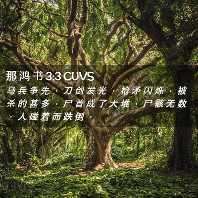 Picture 02 - 那 鸿 书 3:3 CUVS - 马 兵 争 先 ， 刀 剑 发 光 ， 枪 矛 - Bible Verse Picture
