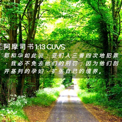 Picture 02 - 阿 摩 司 书 1:13 CUVS - 耶 和 华 如 此 说 ： 亚 扪 人 三 番 - Bible Verse Picture