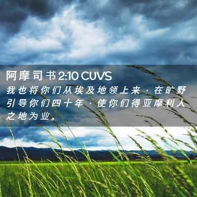 Picture 02 - 阿 摩 司 书 2:10 CUVS - 我 也 将 你 们 从 埃 及 地 领 上 来 - Bible Verse Picture