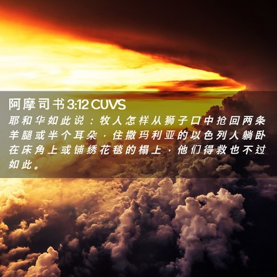 Picture 02 - 阿 摩 司 书 3:12 CUVS - 耶 和 华 如 此 说 ： 牧 人 怎 样 从 - Bible Verse Picture