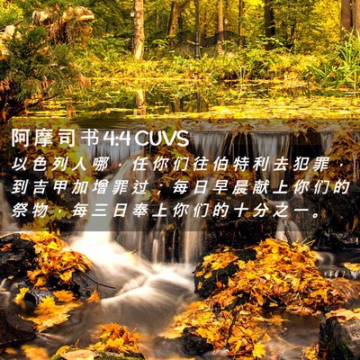 Picture 02 - 阿 摩 司 书 4:4 CUVS - 以 色 列 人 哪 ， 任 你 们 往 伯 特 - Bible Verse Picture