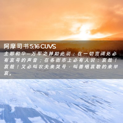 Picture 02 - 阿 摩 司 书 5:16 CUVS - 主 耶 和 华 ─ 万 军 之 神 如 此 说 - Bible Verse Picture