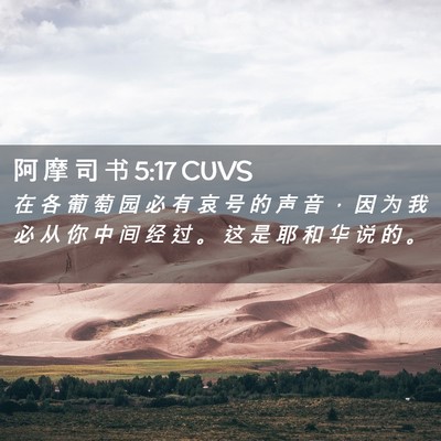 Picture 02 - 阿 摩 司 书 5:17 CUVS - 在 各 葡 萄 园 必 有 哀 号 的 声 音 - Bible Verse Picture