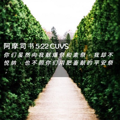 Picture 02 - 阿 摩 司 书 5:22 CUVS - 你 们 虽 然 向 我 献 燔 祭 和 素 祭 - Bible Verse Picture