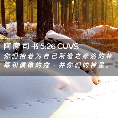 Picture 02 - 阿 摩 司 书 5:26 CUVS - 你 们 抬 着 为 自 己 所 造 之 摩 洛 - Bible Verse Picture